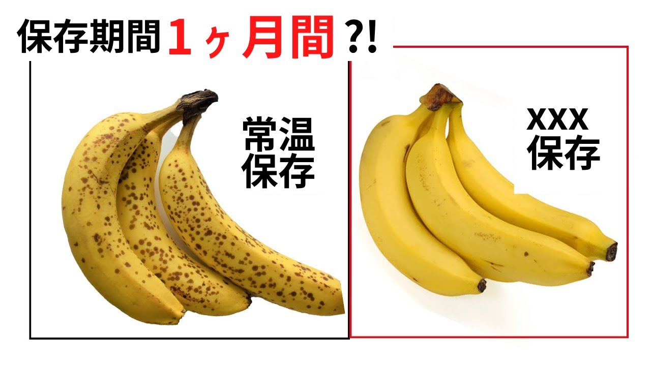 一時品切れになっていた大人気うま辛調味料「カルディのハリッサ」秀逸レシピ5選re:sumica