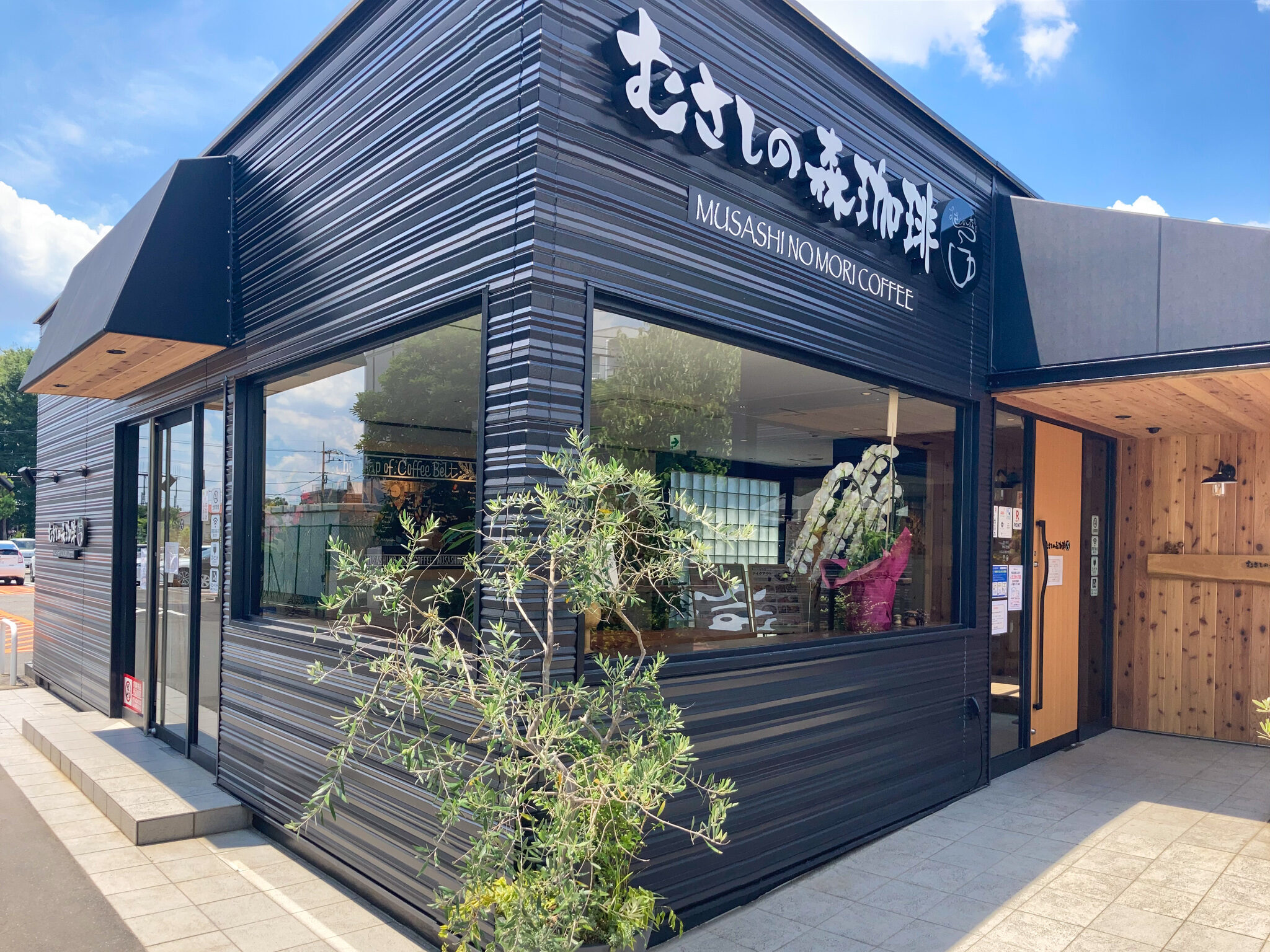 ザリガニを食す 無職放浪記・トルコ編 15里犬@海外放浪中