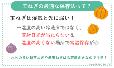 玉ねぎの保存方法 - 井澤農園北海道栗山町