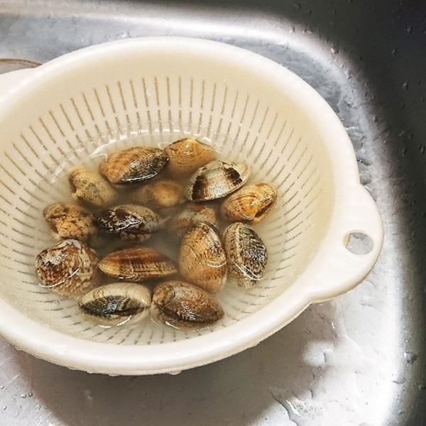 あさりの砂抜き砂出しの方法 失敗の原因・時間・保存