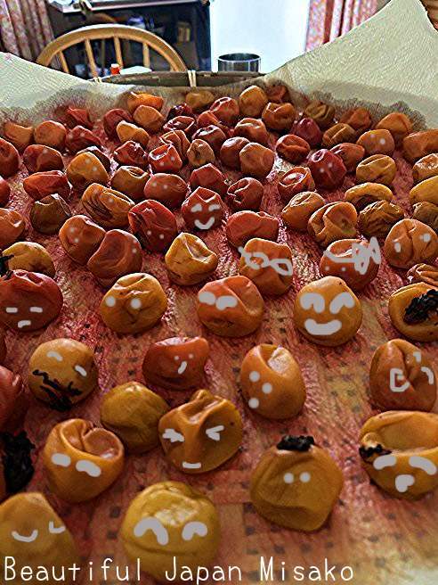 これぞ梅干し！思わず顔をしかめるほどの酸っぱさが心地よい！梅ごろも350gみはまさともの食品加工キホクニヤ