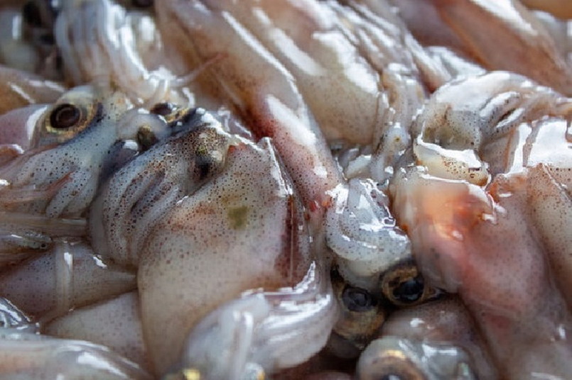 オクラとワカメの春雨中華サラダ
