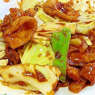 豚肉とナスとキャベツで！ご飯が無限にススム簡単最強おかず『なす回鍋肉』の作り方 - だれウマ