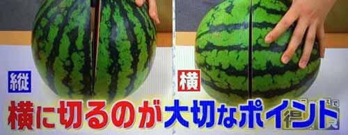 🍇豊洲市場ドットコム🍣 on X: 