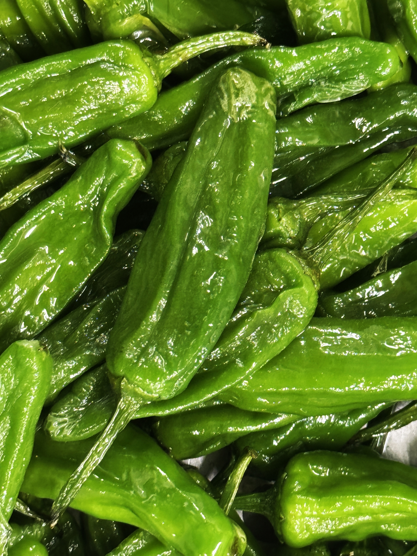 は？ピーマンとししとうと万願寺の区別くらいできるけど？騎空士鮫ミンよりも遠い場所🇦🇶