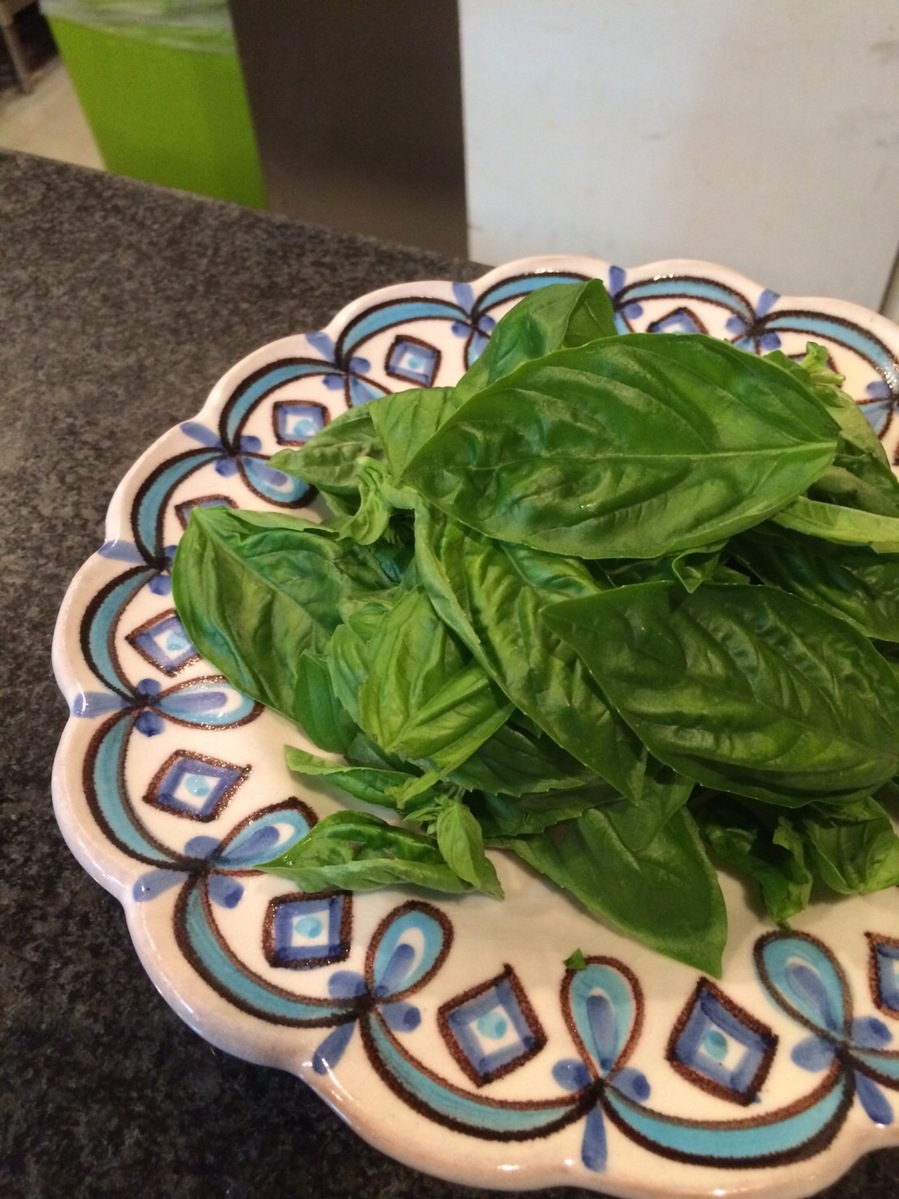 ダイワ ミニクール S1250 イエロー 行楽シーズンのお供に!! 飲み物や食べ物の持ち運び