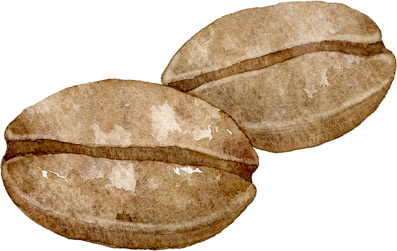 4,015 コーヒー豆 High Res Illustrations - Getty Imagesコーヒー 豆, カフェ, アイスコーヒ