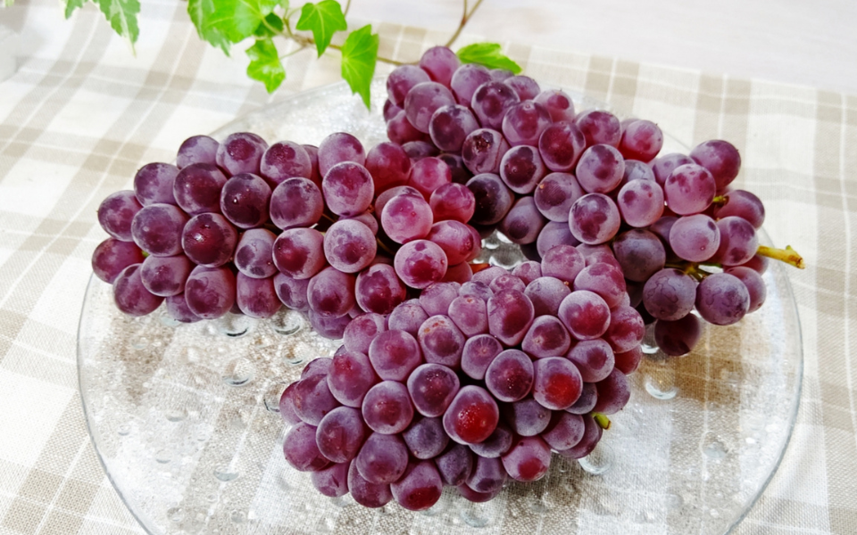 星ぶどうを楽しむ！簡単な手順で美味しさ倍増