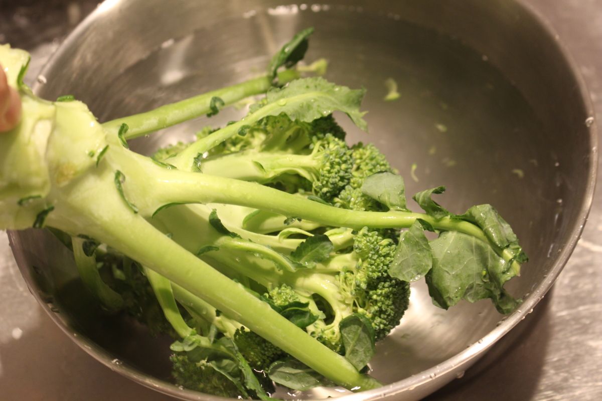 塩こんブロッコリー🥦︎@_chel_chelle さんの投稿をお借りしました @_chel_chelle ←他のレシピはこちら🍳 1歳初め頃はブロッコリー大好きだったのに急に食べなくなって😀やっと食べてくれるレシピを見つけた!🤩🥦 むしろおかわりするほどたくさん食べてくれる