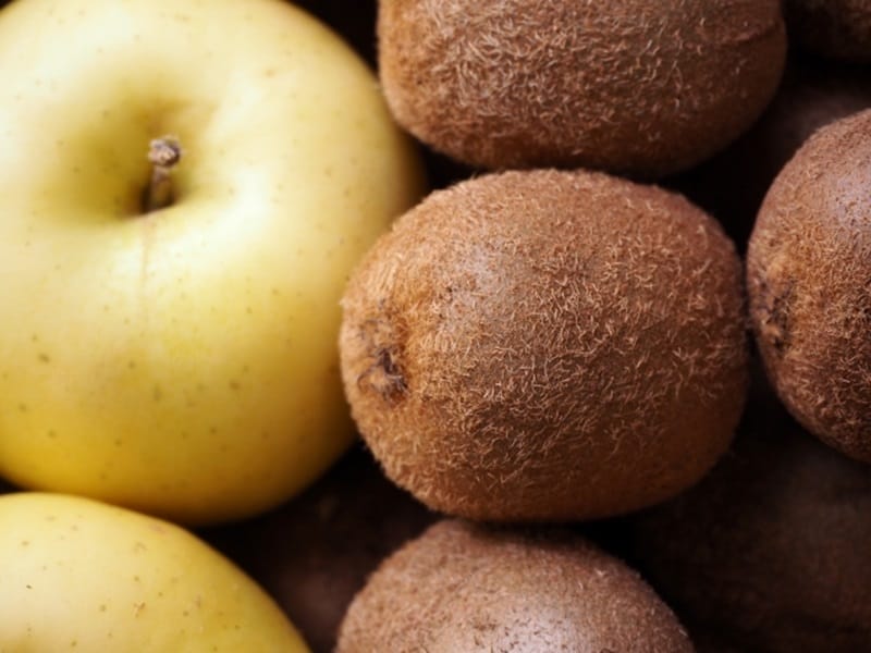 12か月栽培ナビ『キウイフルーツ』~地植えでも鉢でもおいしい果実を収穫!-みんなの趣味の園芸