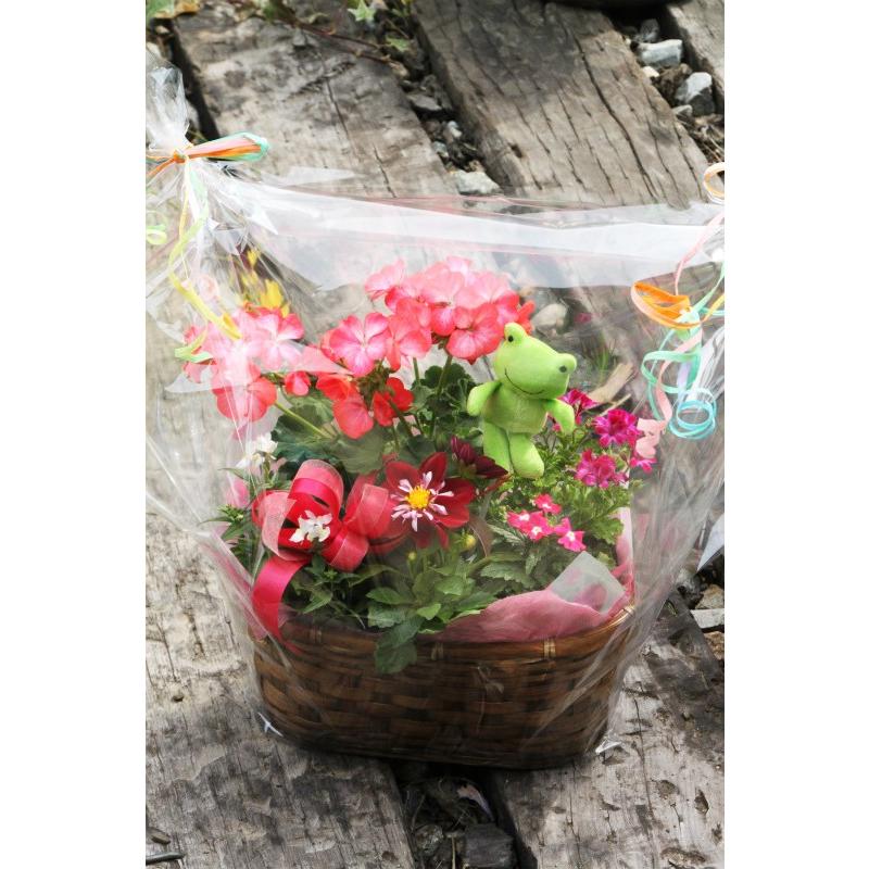 新鮮な花束を産地直送で。オンラインで買える花農家を訪ねてブルータス BRUTUS.jp