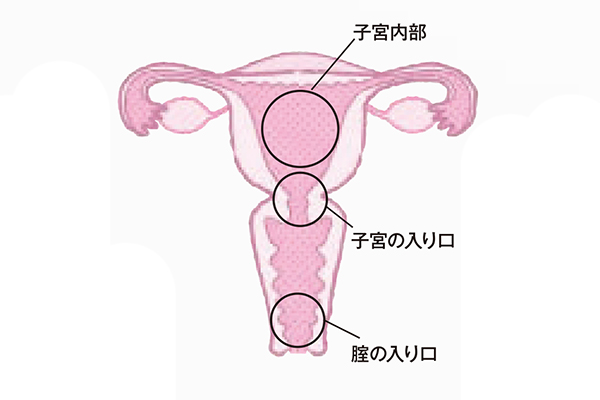 けものは奥まで鳴かされたい / コミックス / ビーボーイWEB