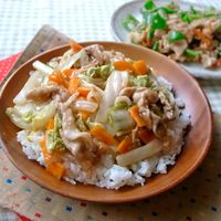 白菜を使った絶品中華丼レシピ8選！しょうが味やあんかけ丼などの人気レシピ・作り方デリッシュキッチン