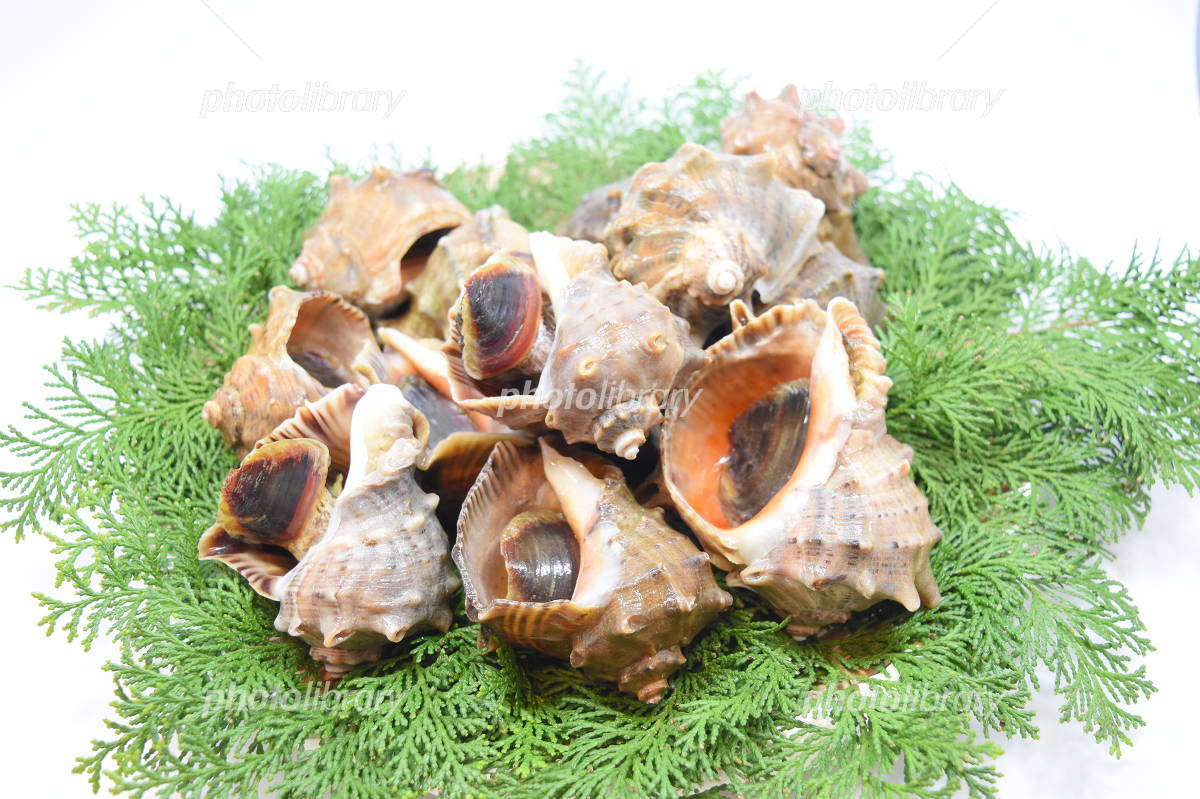 寿司ネタ 赤にし貝カットＳ9-11ｇ 20枚 すしねた 生食用 スライス のせるだけ アカニシ貝 刺身用 あかにし貝海鮮丼の商品詳細商品詳細C-joy