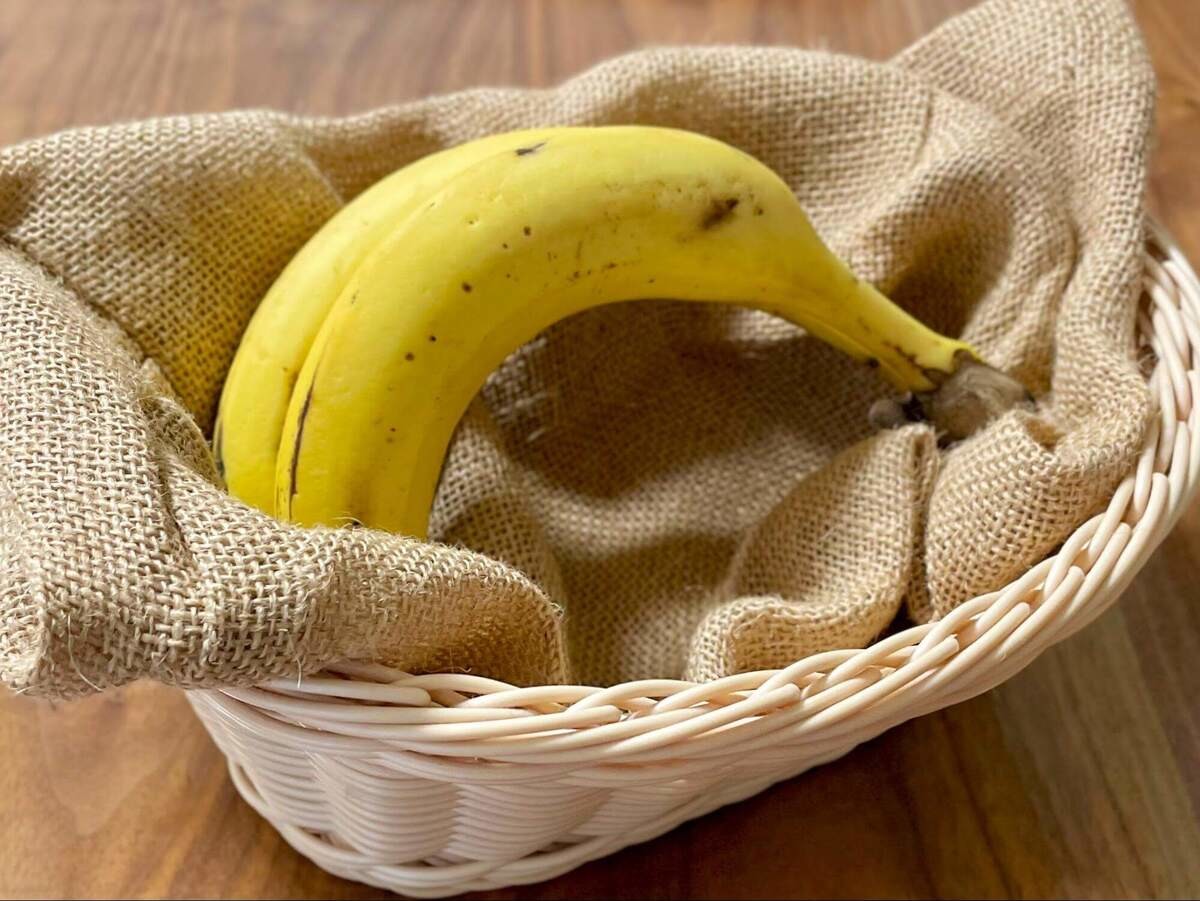 バナナホルダー バナナスタンド つり下げ式 キッチンカウンタートップ用ステンレススチールフック付きバナナハンガーツリー ヤシの木: スピード発送ホリック - 通販 - Yahoo!ショッピング Cuisinart ステンレススチールフルーツバスケット バナナハンガー付き フルーツ