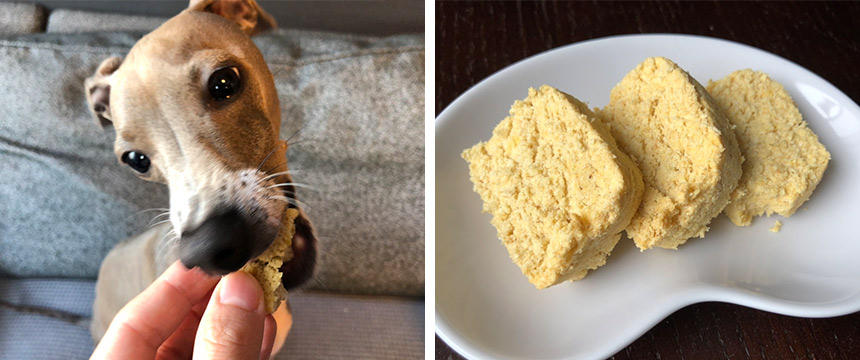 花畑牧場の「人間も食べられる犬用おやつ」を食べてみたその後改めて感じたことはロケットニュース24