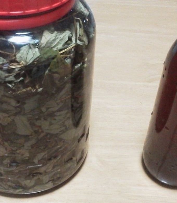 健康酒 ドクターワイン 『 ドクダミの力 しぼり汁 100%使用 』 シャトー勝沼製造酒のしがらきのニュースまいぷれ 宮崎