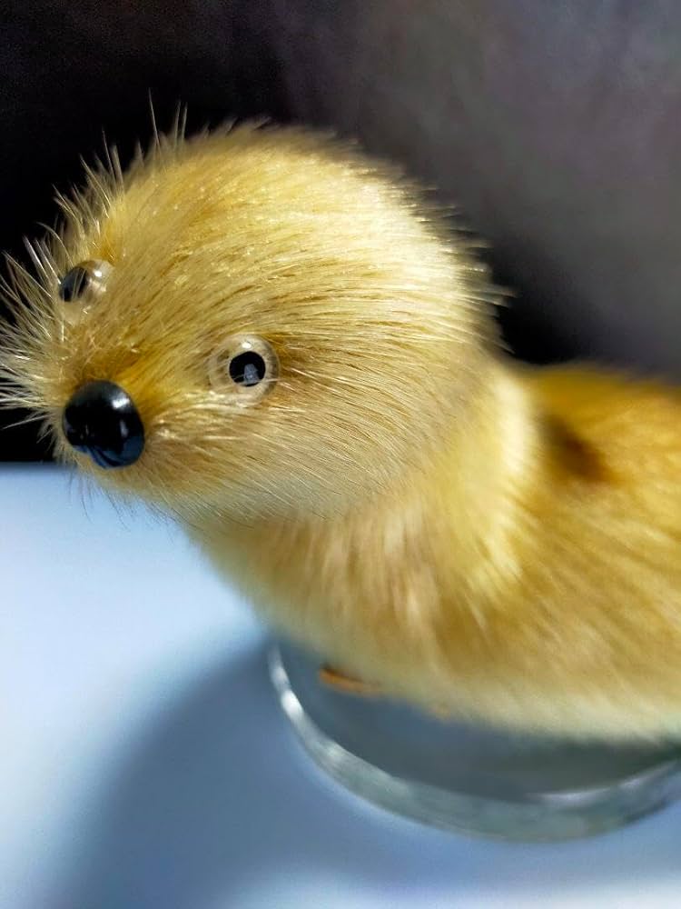 アザラシのお腹に鳥たちがぎっちり発酵食品「キビヤック」再現したぬいぐるみが衝撃のビジュアルだった 全文表示 Jタウンネット