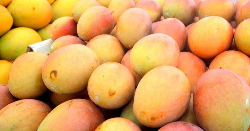 ドライフルーツ 6種詰合せセット 各25g 送料無料 アップル パイン マンゴー ブルーベリー パパイヤ メロン りんご ぱいん まんごーぶるーべりー ぱぱいや : 笑喜亭 - 通販 - Yahoo!ショッピング