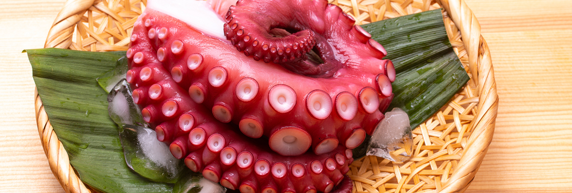 ゆでだこ ボイル・冷凍約300-350ｇ 浜坂産タコ、ミズダコ、たこ、みずだこ、茹でだこ: 毎日漁港へ目利き一筋!かにの山米 - 通販 -Yahoo!ショッピング