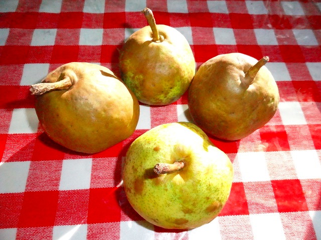 ラップが不要に！使いかけ野菜を冷蔵庫保存するときのコツESSEonline エッセ オンライン