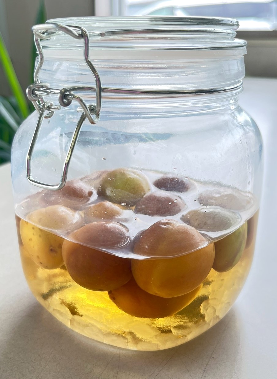 リンゴ酢 ザップ 900ml 2パックレック公式オンラインショップ 通販