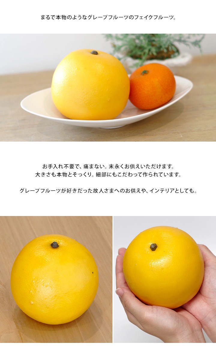 楽天市場 マジックグレープフルーツ ジャクソンフルーツ18玉前後 約4kg南アフリカ産 新種 グレープフルーツ ぐれーぷふるーつ グレフルgrapefruit ホワイト 白 柑橘 夏 食品 フルーツ 果物 グレープフルーツ 甘い 人気 男性 女性 喜ばれる 2025 送料無料 : まいど