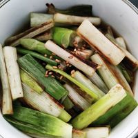 万能ねぎ1袋使い切り、ねぎお好み焼きのレシピ - 生かし屋さん