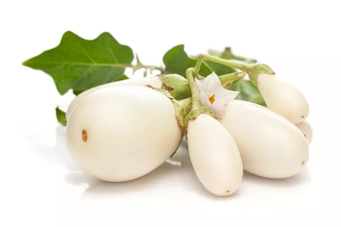 今が旬！「さつまとろ茄子」のステーキ『白茄子との比較検証』AJ@中華料理の異端児