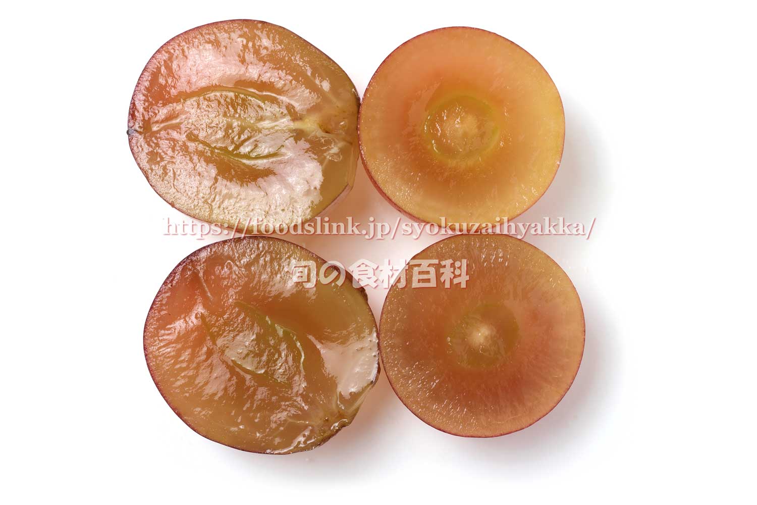 ゴルビー 御所の種無しぶどう ゴルビー 2房 和歌山 観音山フルーツガーデン 送料無料