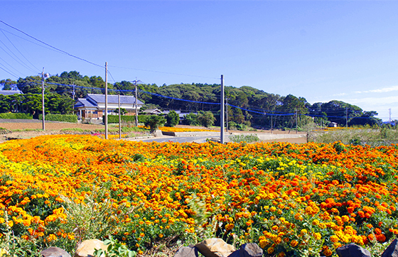 平戸温泉 国際観光ホテル 旗松亭」(平戸市-旅館-〒859-5102)の地図/アクセス/地点情報 - NAVITIME