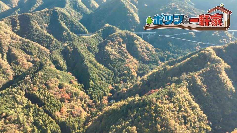 ポツンと一軒家ページ 2だぐログ