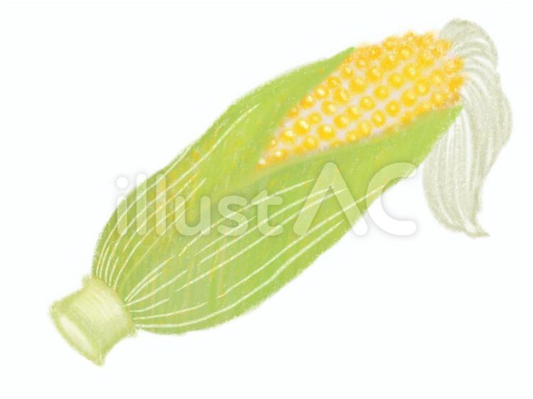 とうもろこしのキャラクター：イラスト無料