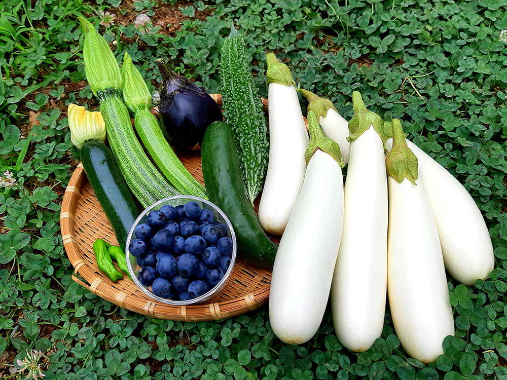 好きな夏野菜の人気ランキングTOP10！今すぐ使えるおすすめレシピも厳選 - macaroni
