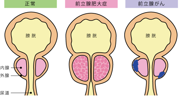 射精した後、猛烈に眠くなるのはなぜ？【専門医が回答！男性の体Q&A㉘】 | yoi（ヨイ）