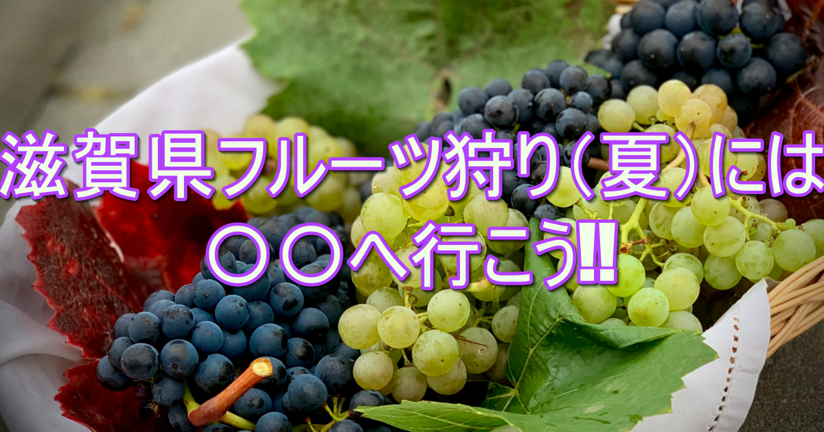 フレッシュな夏！この夏行きたい関西のおすすめフルーツ狩りスポットまとめRETRIP リトリップ