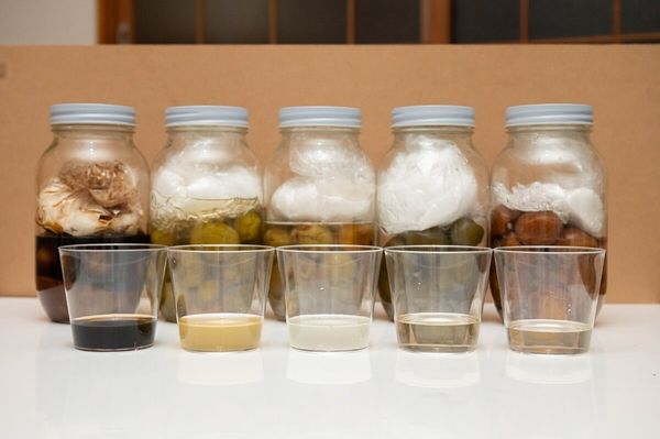 梅シロップが発酵してる～っ！？ ￣□￣；- りんごの木の下で