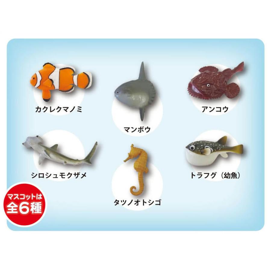 楽天市場ポイント3倍 公式 学研の図鑑ライブ 魚バスボール20個入りBOX入浴料 入浴剤 マスコット リアル 図鑑 さかな 子供キッズ お風呂 フィギュア プチギフト ギフト プレゼント : dayillu デイル 楽天市場店