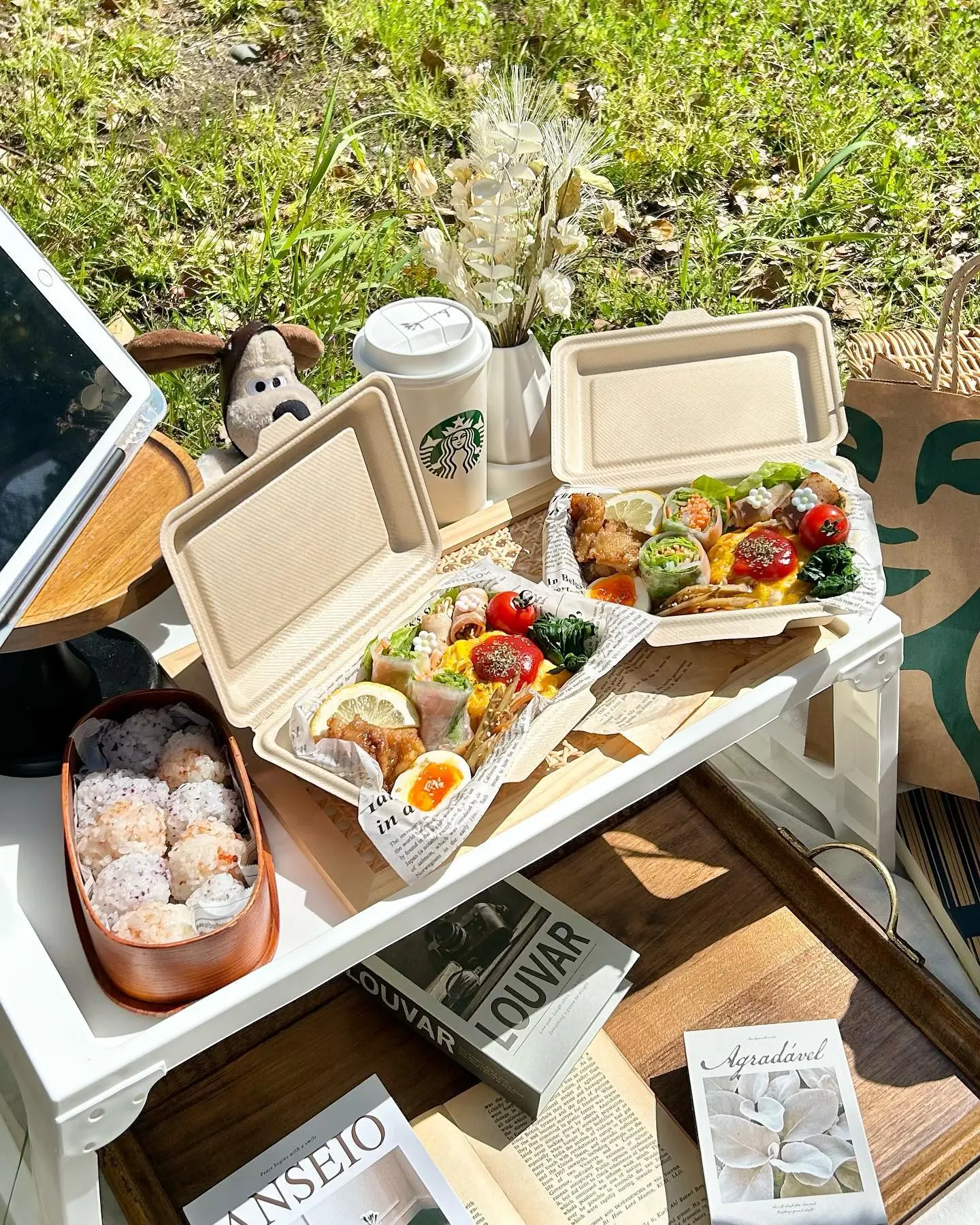 インスタで映えるピクニックした〜い♡可愛いお弁当の作り方教えちゃいますMERY