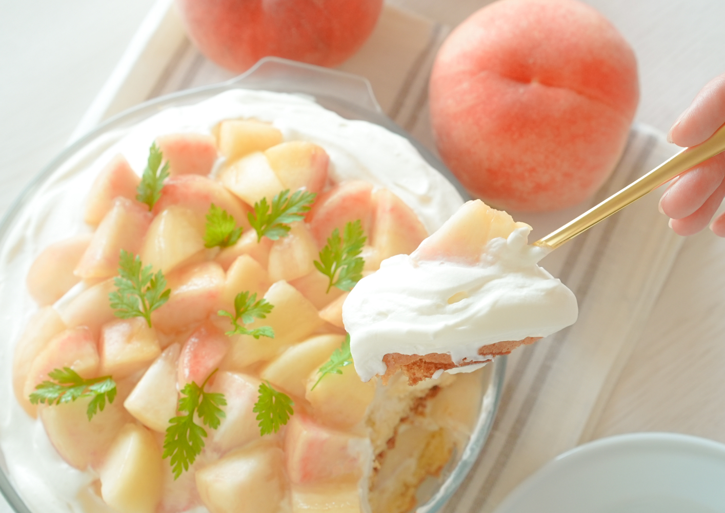 アデリア セラベイク スクエアロースターM K9427 ホットクックで作るラザニアのレシピ - はたらくホットクック：