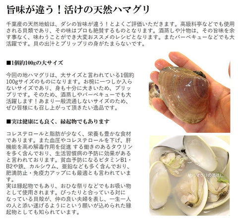 ハマグリに似た外来種・ホンビノス貝！白ワインで！ - まいにちワイン☆ときどき釣り