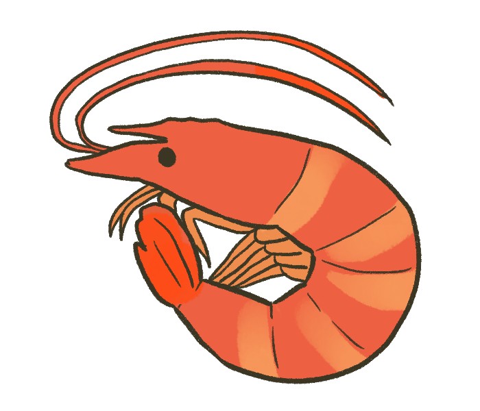 えびの豆知識 – ABSEA