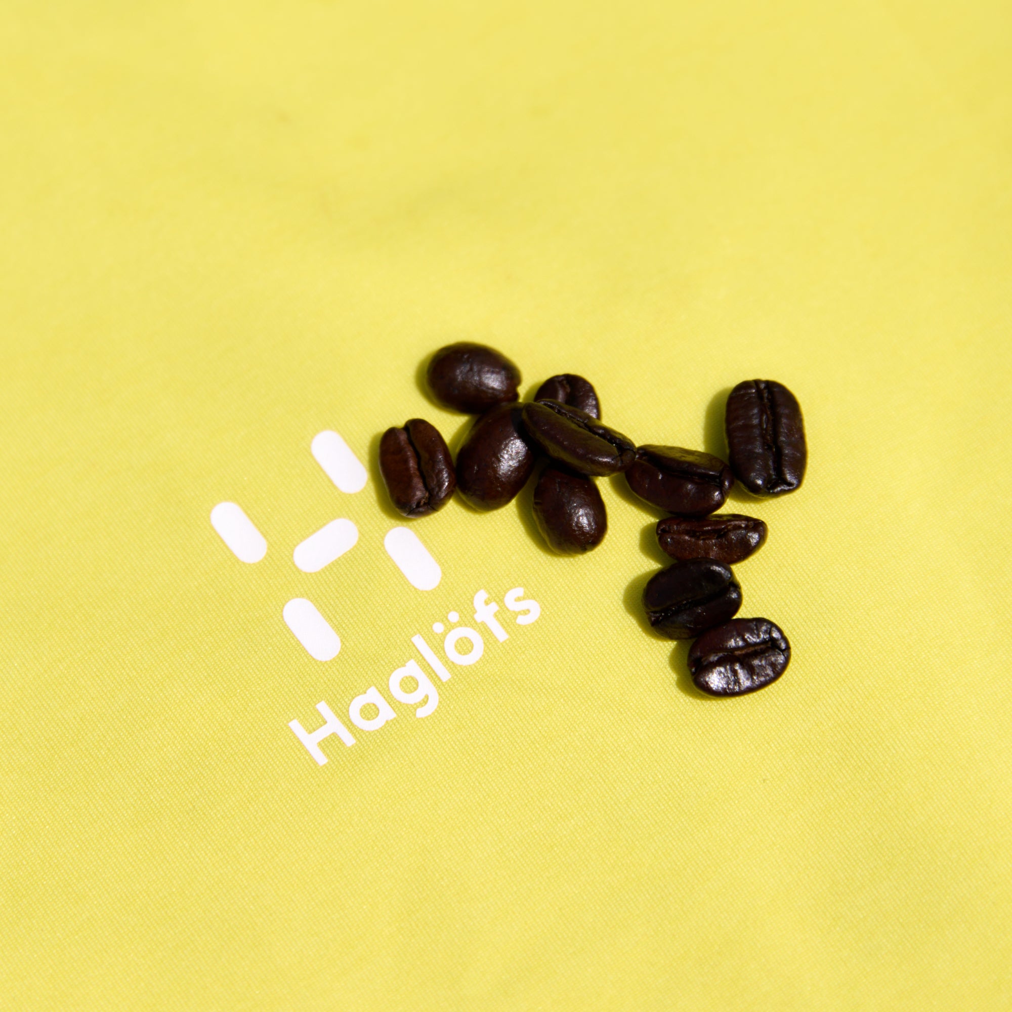 なかむら珈琲店 かき氷TikTok