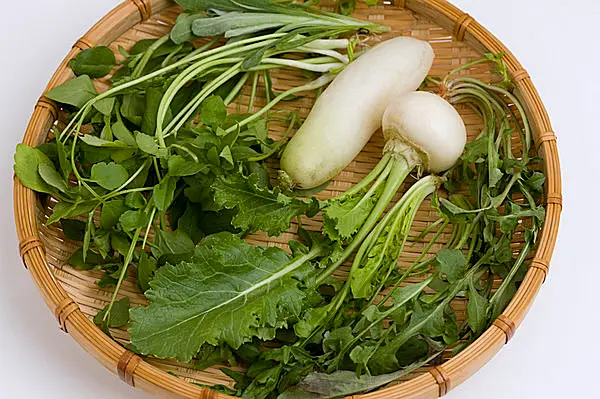 七草粥から始める！お粥温活