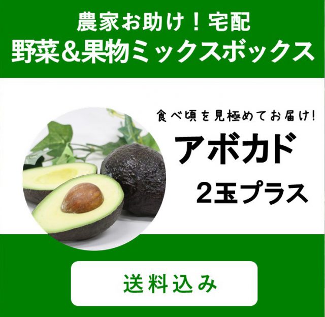 野菜ボックス野菜 野菜セット・詰め合わせ 産直アウル 農家から直接野菜などの食材を購入できる産地直送の宅配通販サイト