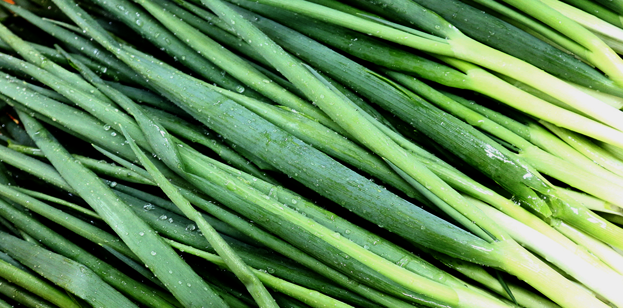 コラム - 株式会社 東 商