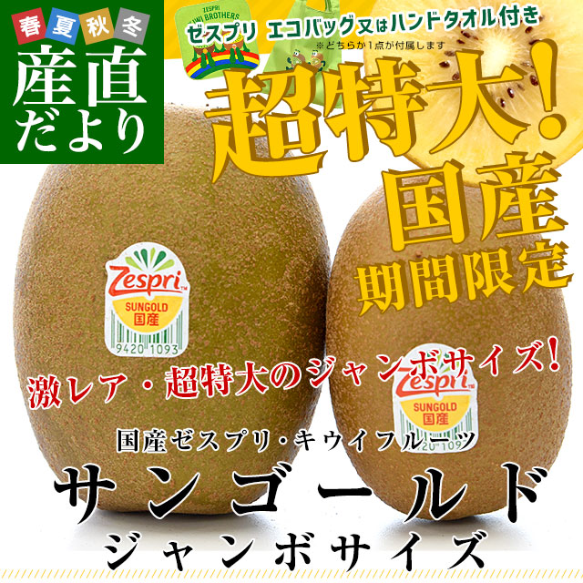 キウイ メス木 ：ゴールデンキング4～5号ポット＊ の通販園芸ネット