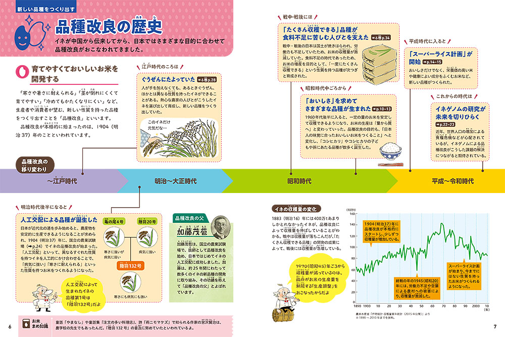 種類が多すぎる！！米、玄米の選び方を教えます。 - 玄米大事典 - 「玄米のマイセン」公式通販