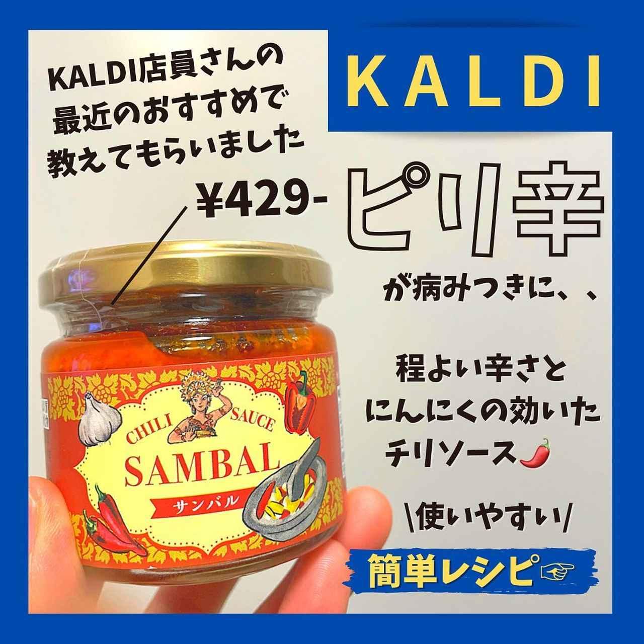 カルディオリジナルのサンバルを使ってみた！YASSの小窓