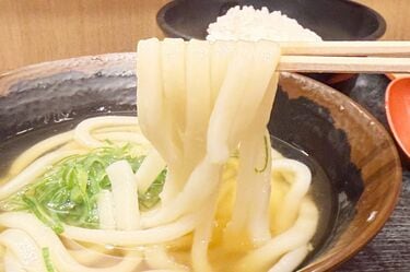 下松・望町に「なか卯」 山口県内2店舗目、親子丼と「京風うどん」を主力に - 周南経済新聞